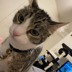 Meet your Posher, Diana